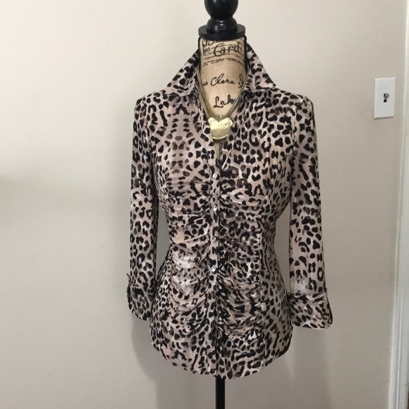 CHEETAH DESIGN INC INTERNATIONAL CONCEPTS - Picture 1 of 6